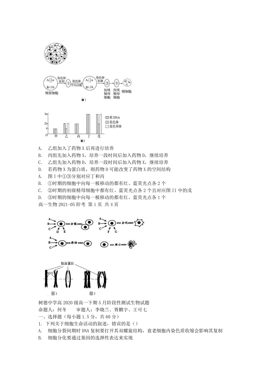 四川省成都市树德中学2020-2021学年高一生物下学期5月阶段性测试试题.doc_第2页