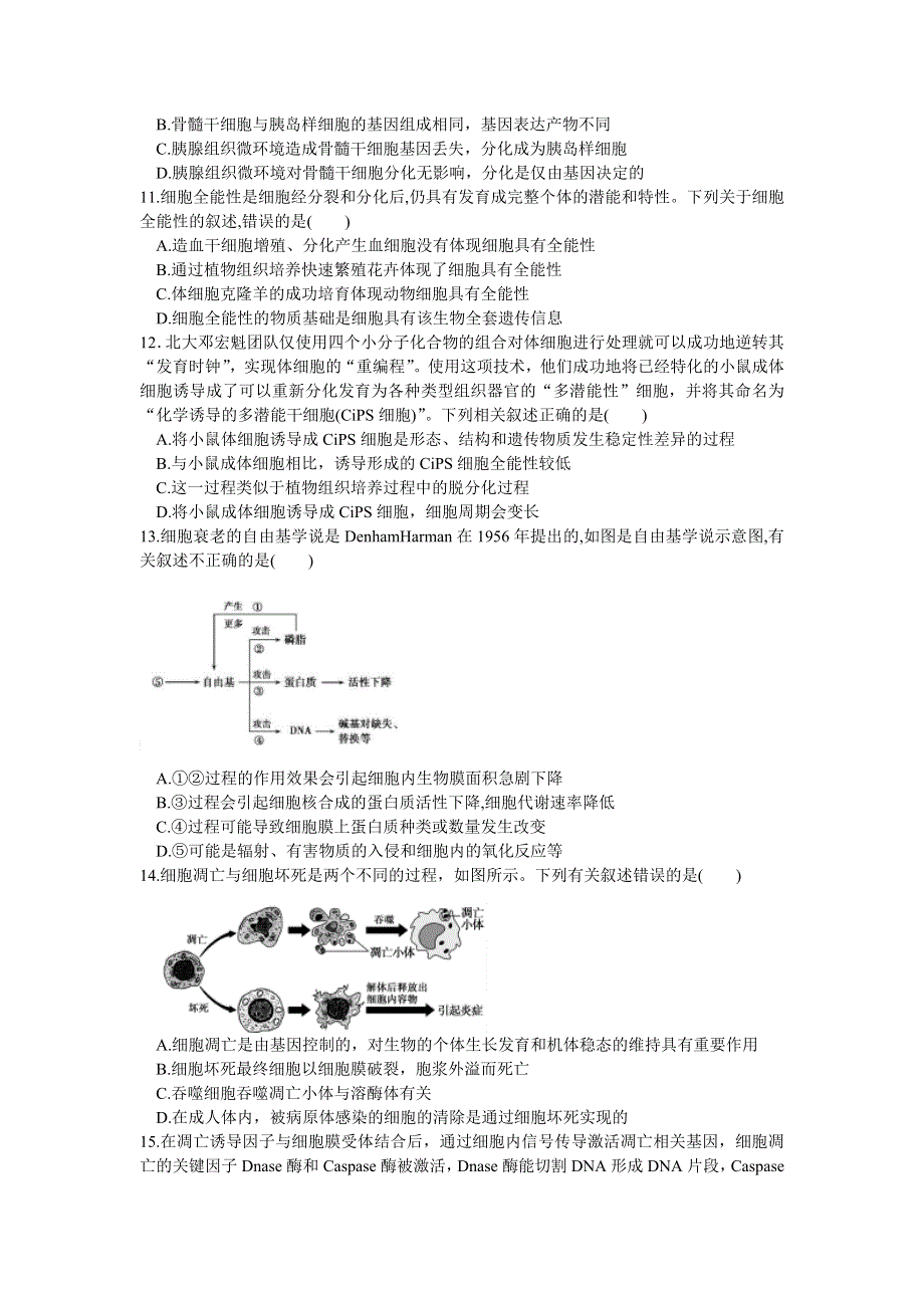 四川省成都市树德中学2020-2021学年高一下学期4月月考生物试题 WORD版含答案.doc_第3页