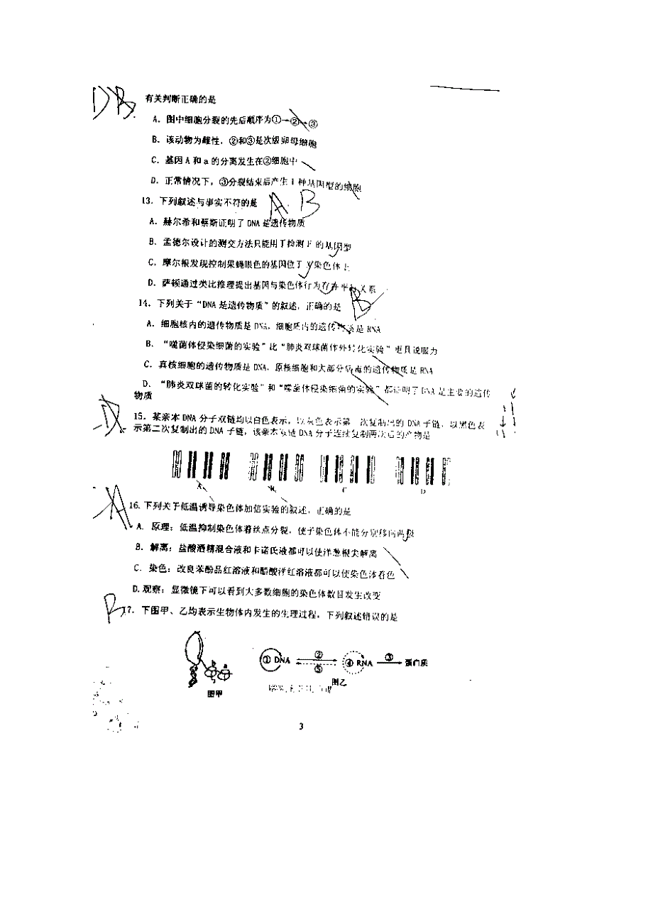 山东省临沂市第十九中学2014-2015学年高二寒假学习成果检测生物试题 扫描版含答案.doc_第2页