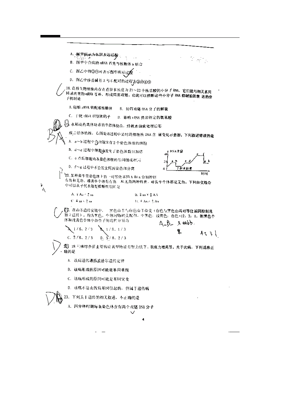 山东省临沂市第十九中学2014-2015学年高二寒假学习成果检测生物试题 扫描版含答案.doc_第3页