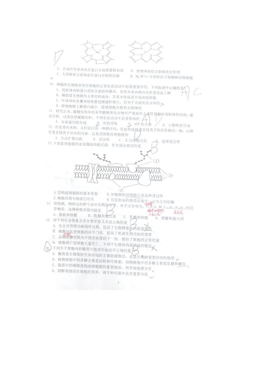 山东省临沂市第十九中学2014-2015学年高二下学期第四次调研（6月月考）生物试题 扫描版含答案.doc_第2页