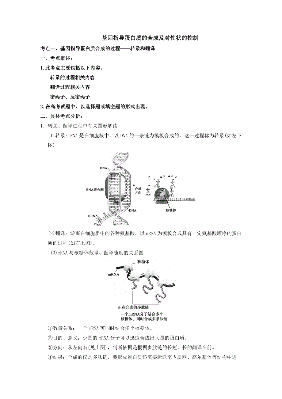 2013届高考生物考点精讲精析----基因指导蛋白质的合成及对性状的控制.doc_第1页