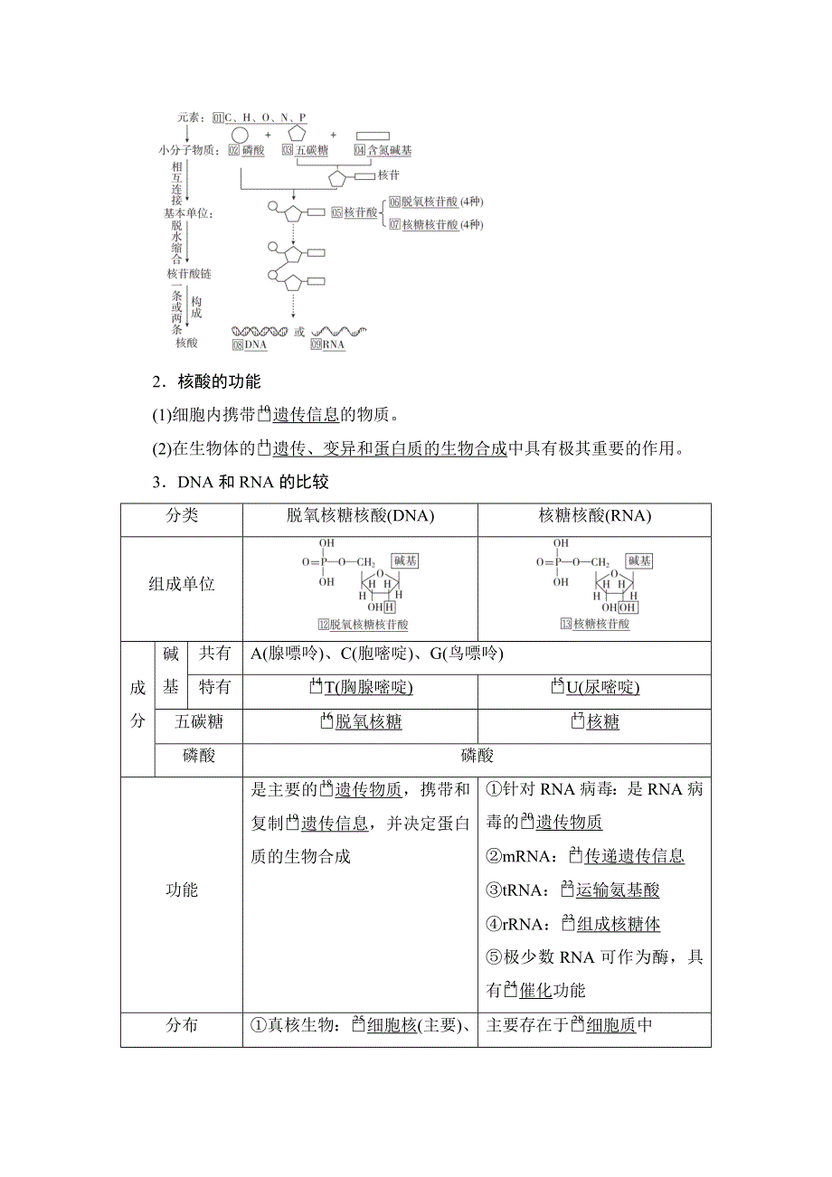 2021届新高考生物一轮复习（选择性考试A方案）学案：必修1 第1单元 第4讲　核酸、糖类和脂质 WORD版含解析.doc_第3页