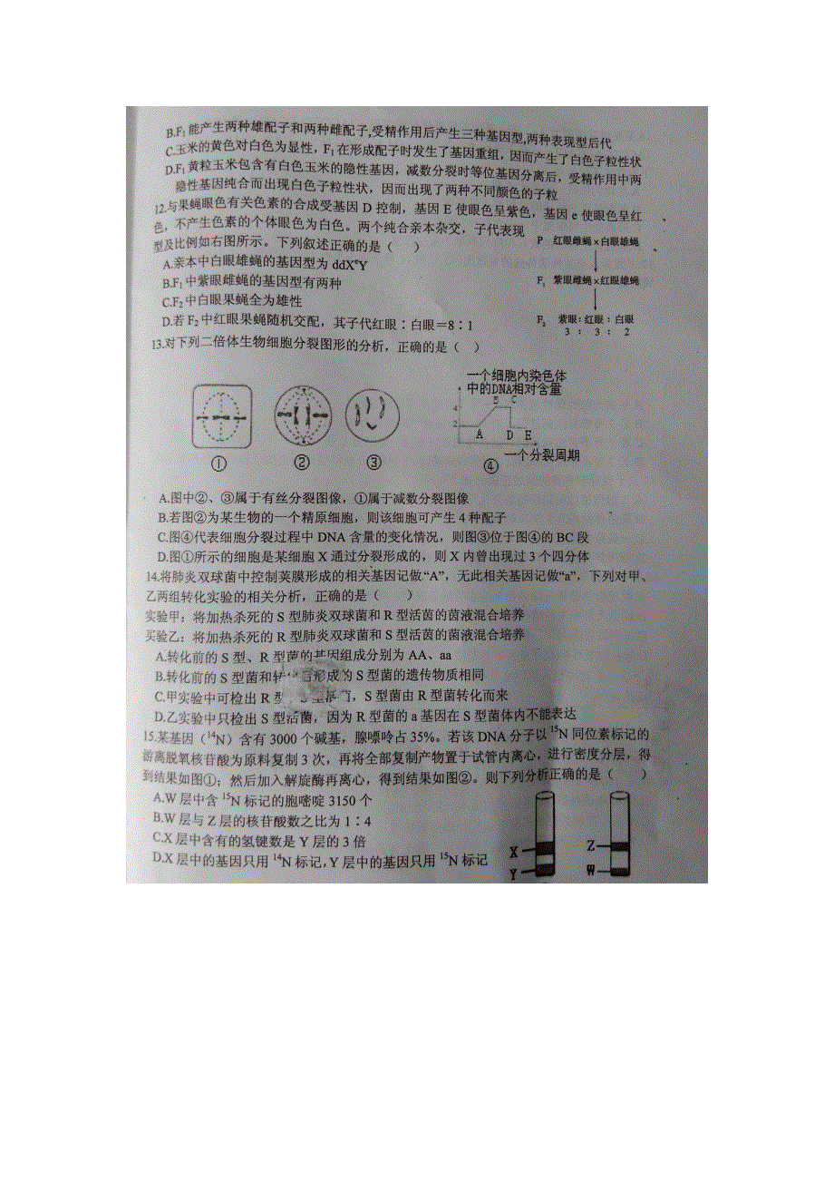 山东省临沭县2016届高三上学期期末教学质量抽测生物试题 扫描版无答案.doc_第3页