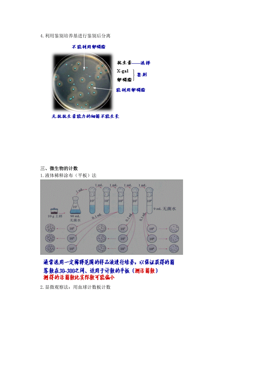 2020届高考生物人教版总复习学案：微生物的培养、分离、计数 WORD版含答案.doc_第3页