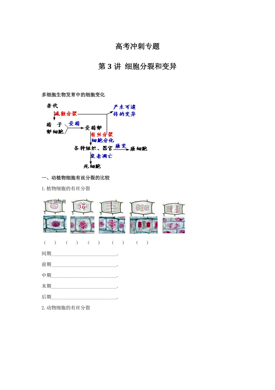 2020届高考生物人教版总复习学案：专题突破 第3讲 细胞分裂和变异 WORD版含答案.doc_第1页