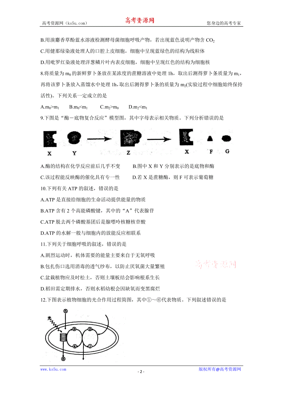 《发布》吉林省长春市普通高中2020届高三上学期质量监测（一） 生物 WORD版含答案BYCHUN.doc_第2页