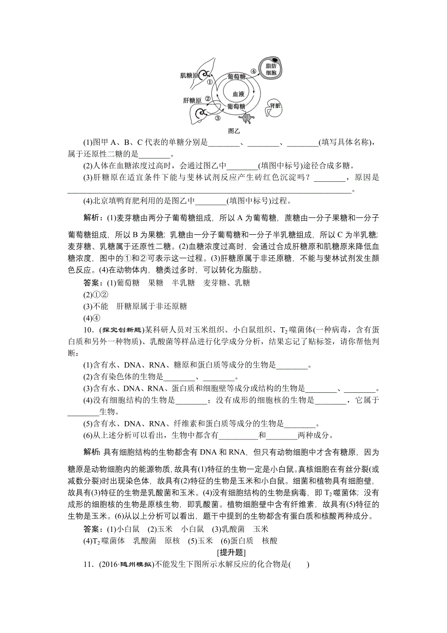 《优化方案》2017届高三生物一轮：遗传信息的携带者——核酸细胞中的糖类和脂质 达标检测 WORD版含答案.doc_第3页