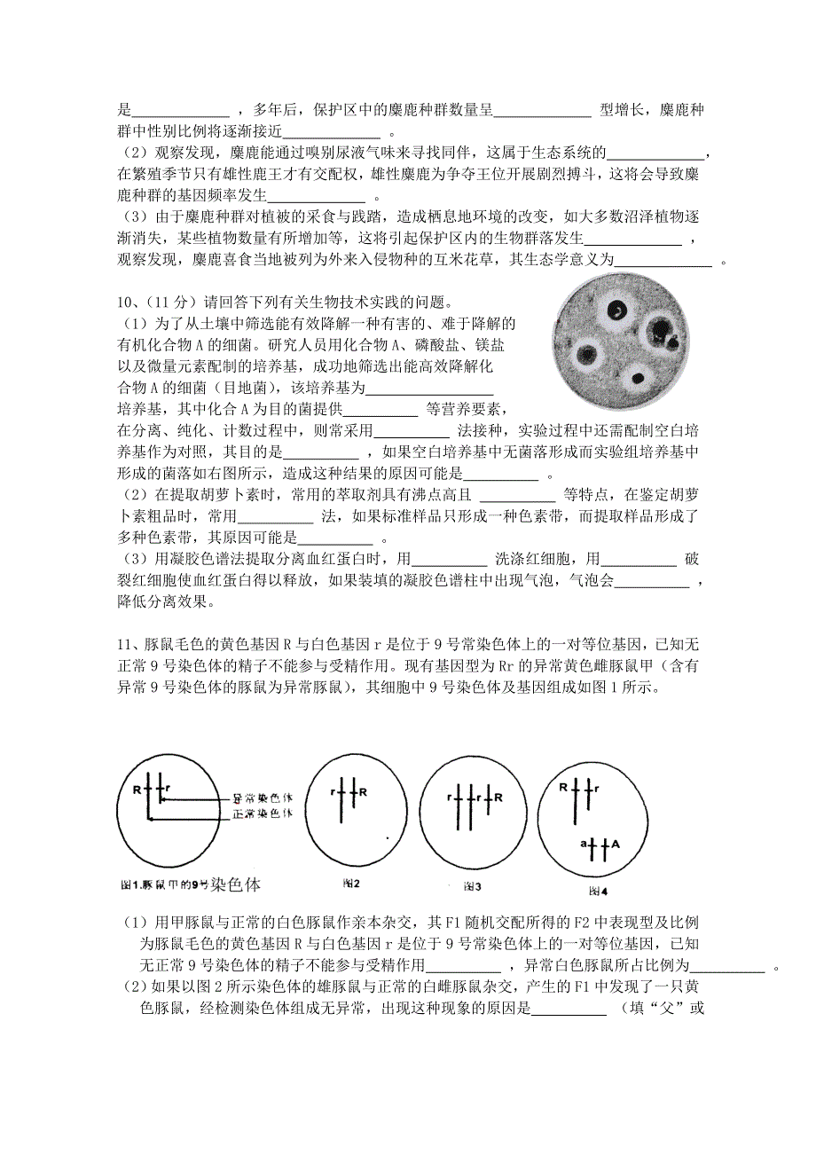 四川省成都市第七中学2015届高三4月第4周周练生物试题 WORD版含答案.doc_第3页