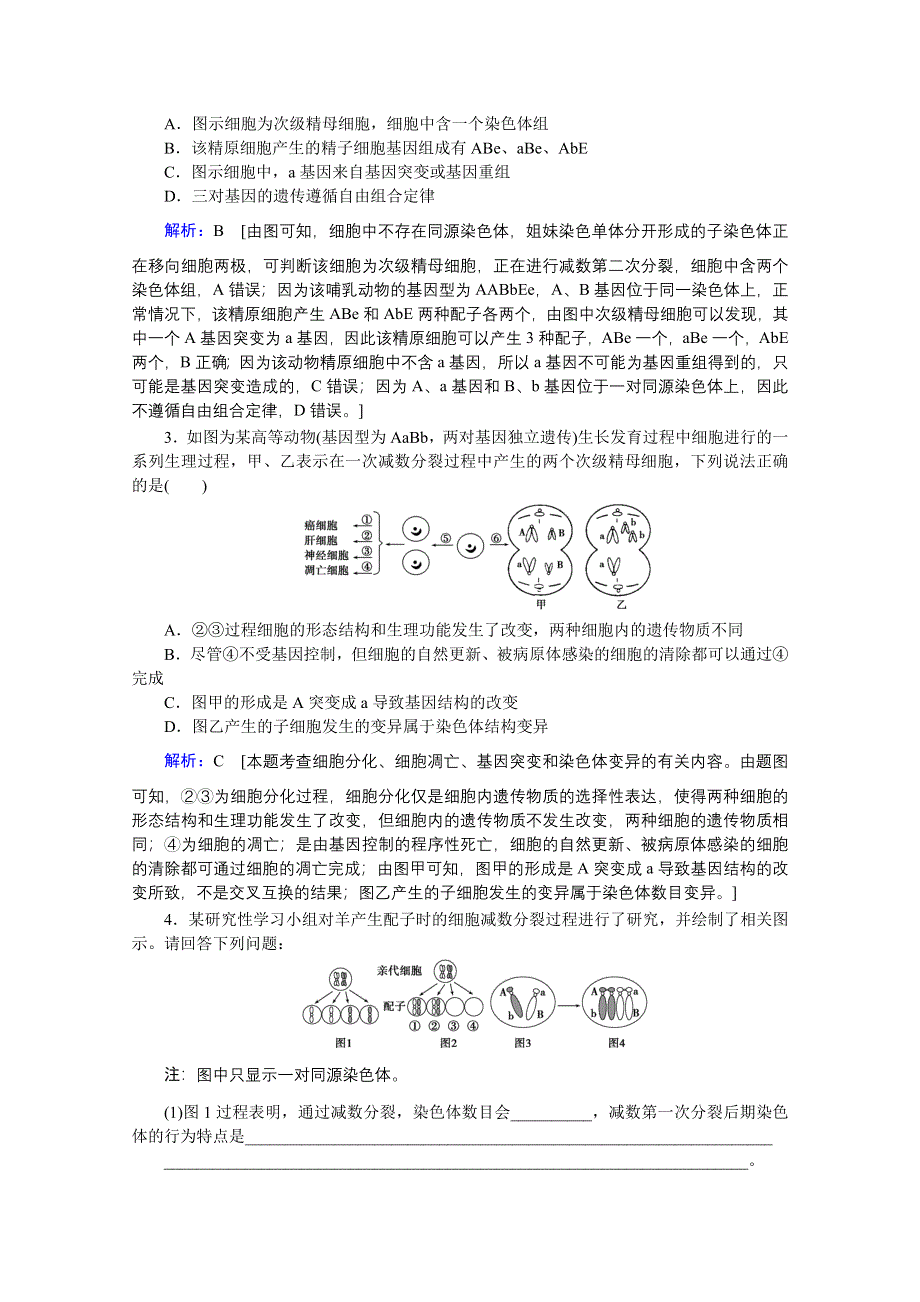 2020届高考艺考生物复习教师用书：热点四　细胞异常分裂与变异 WORD版含解析.doc_第3页