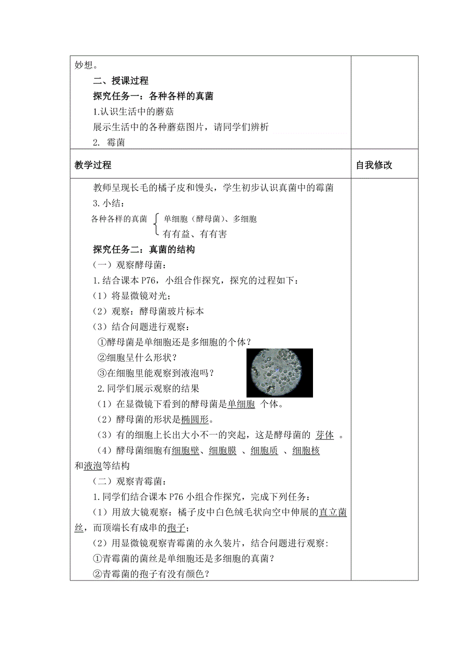 人教版（新课标）八年级生物上册：5.4.3 真菌-教案.docx_第2页