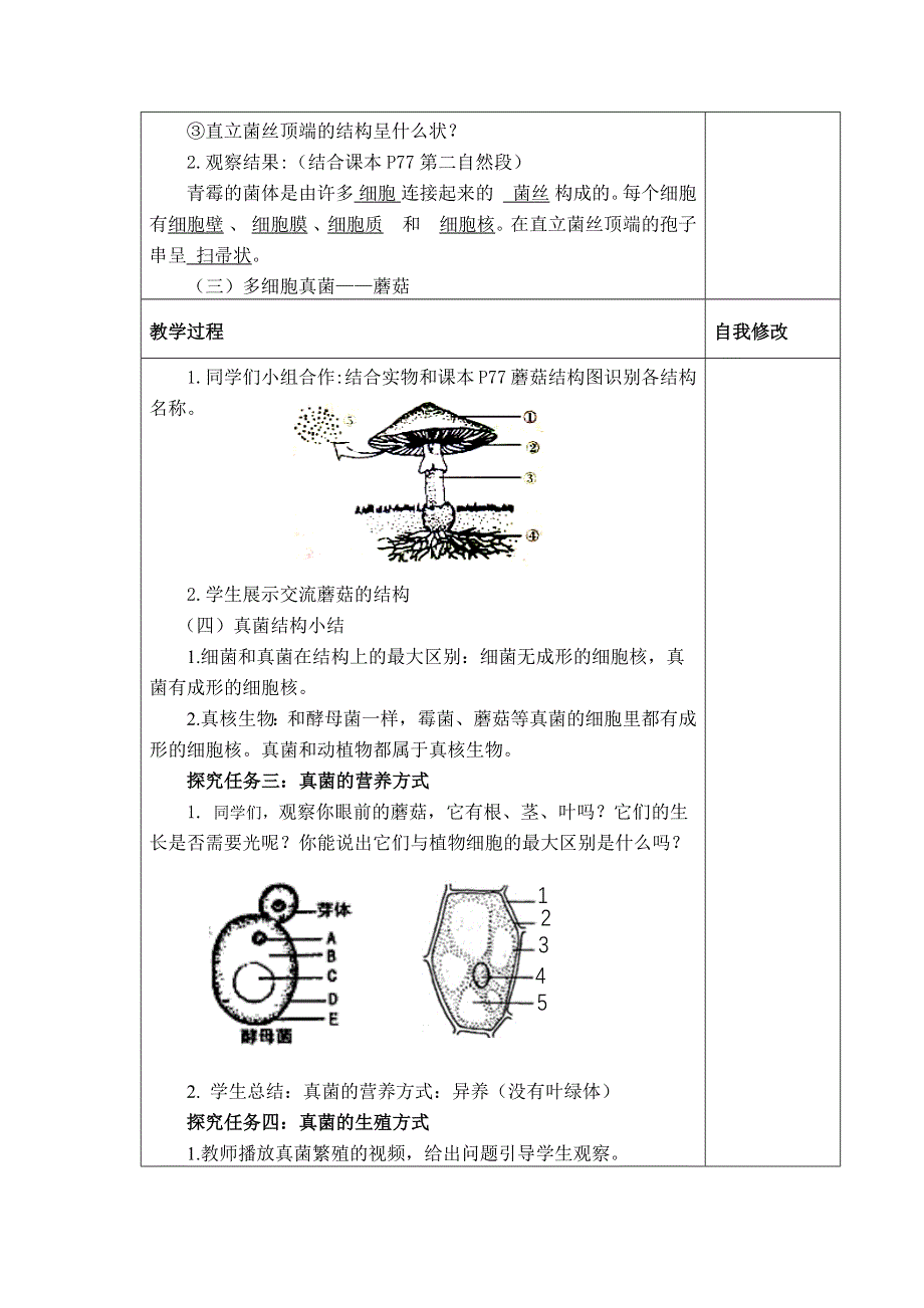 人教版（新课标）八年级生物上册：5.4.3 真菌-教案.docx_第3页