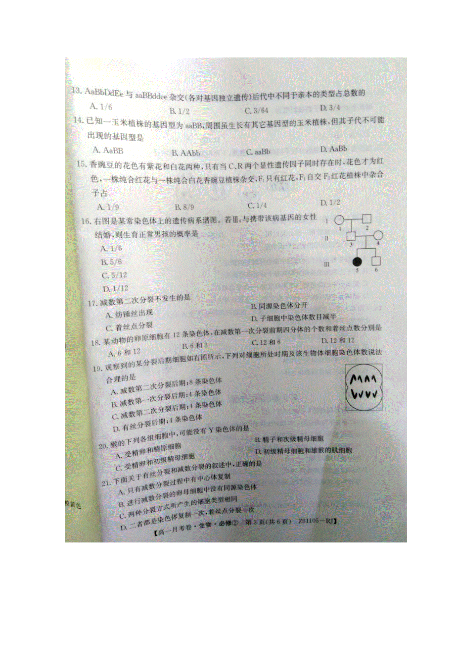 河南省滑县第二高级中学2015-2016学年高一3月月考生物试题 扫描版含答案.doc_第3页