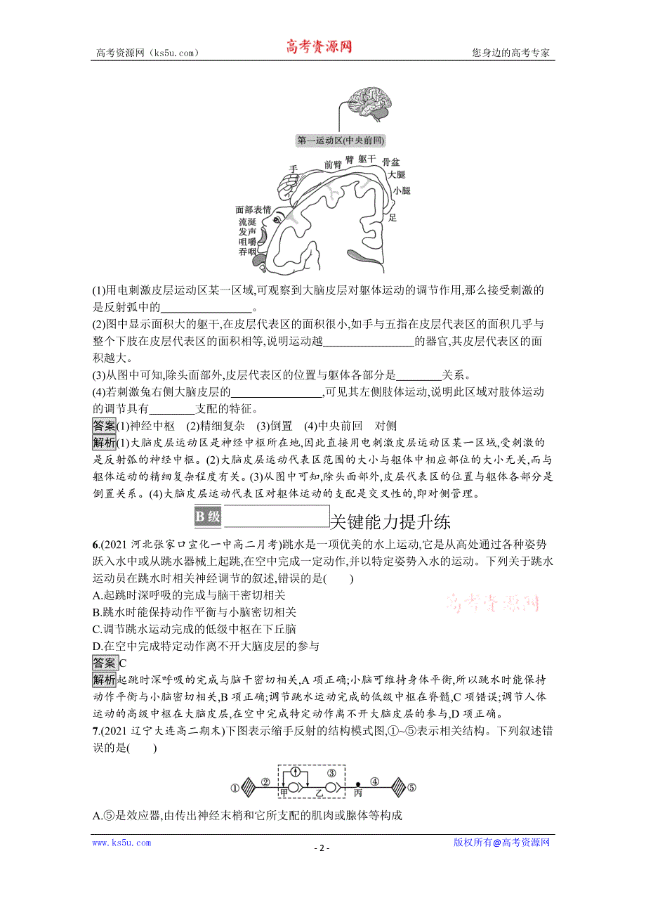 《新教材》2021-2022学年人教版生物选择性必修第一册测评：第2章　第4节　神经系统的分级调节 WORD版含解析.docx_第2页