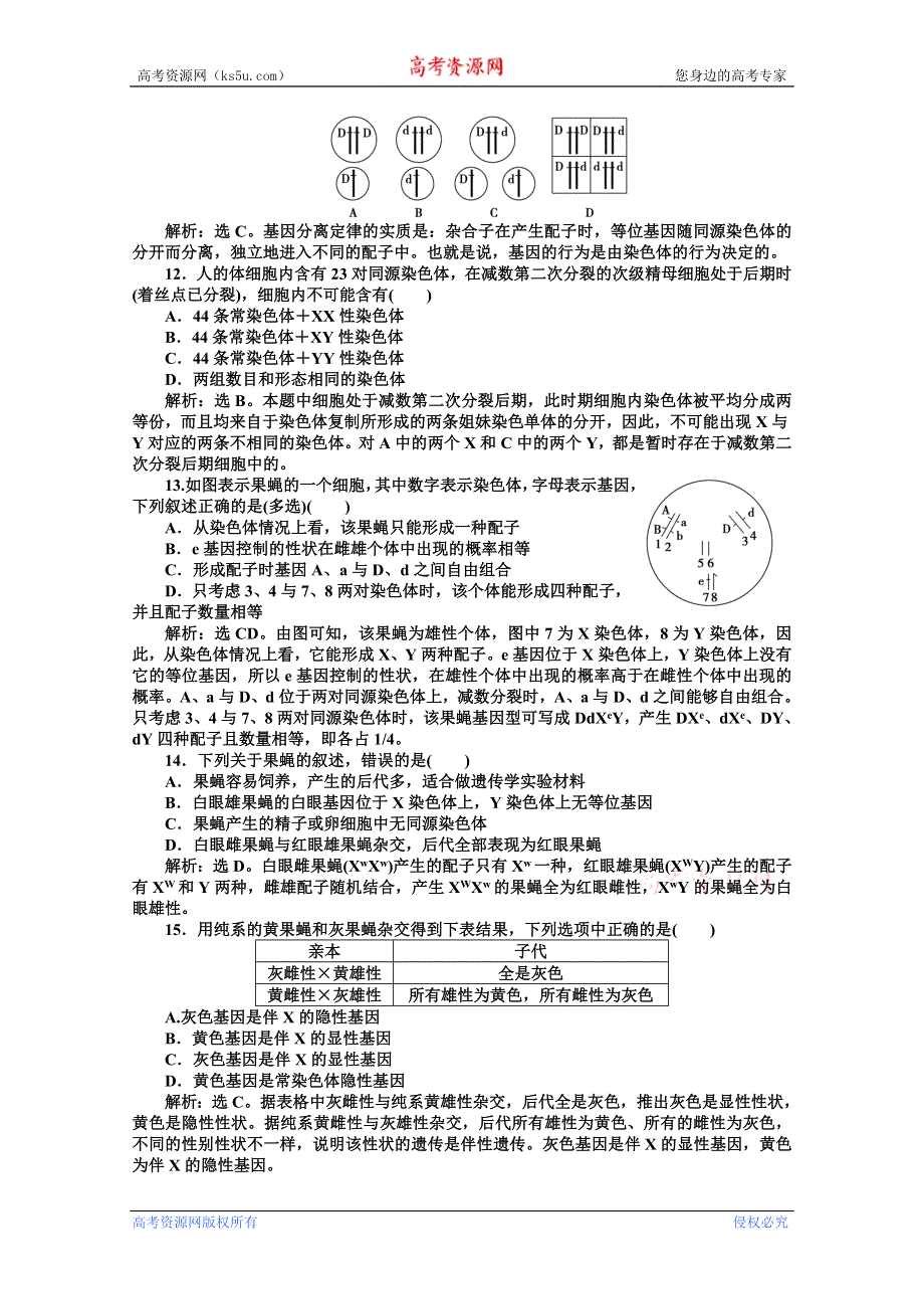 《优化方案》人教生物必修2第2章阶段性综合检测 WORD版含答案.doc_第3页