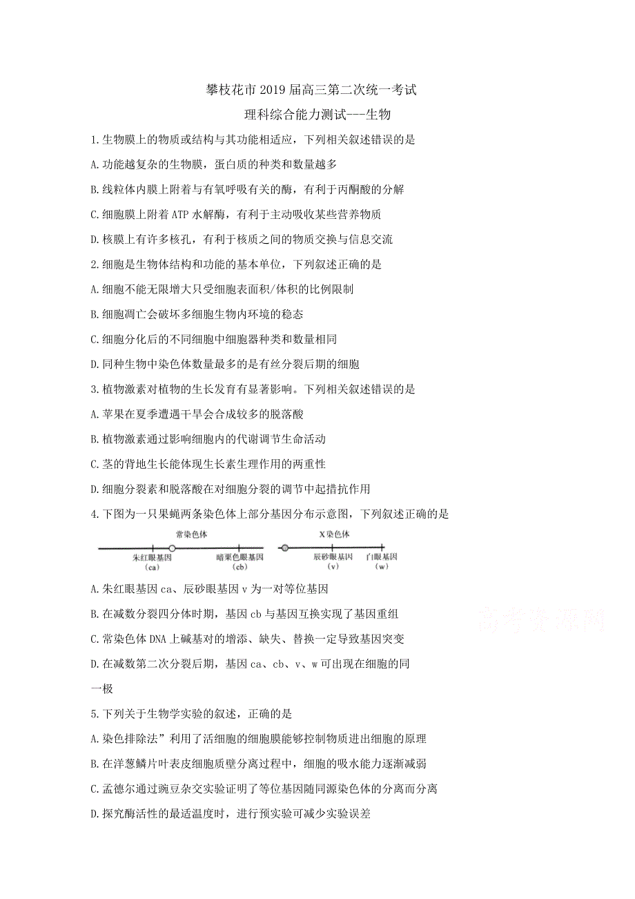 《发布》四川省攀枝花市2019届高三第二次统一考试理科综合--生物 WORD版含答案BYFENG.doc_第1页