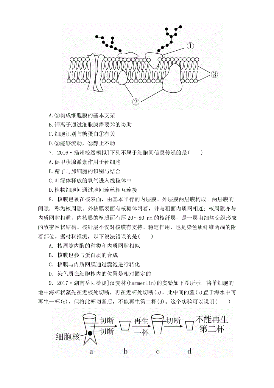 2018年高考生物人教版一轮复习同步习题-5细胞膜与细胞核 WORD版含答案.DOC_第3页