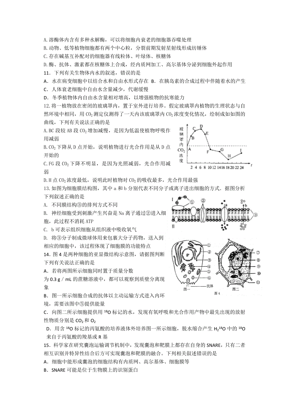 山东省临淄中学2017届高三10月月考生物试题 WORD版含答案.doc_第2页