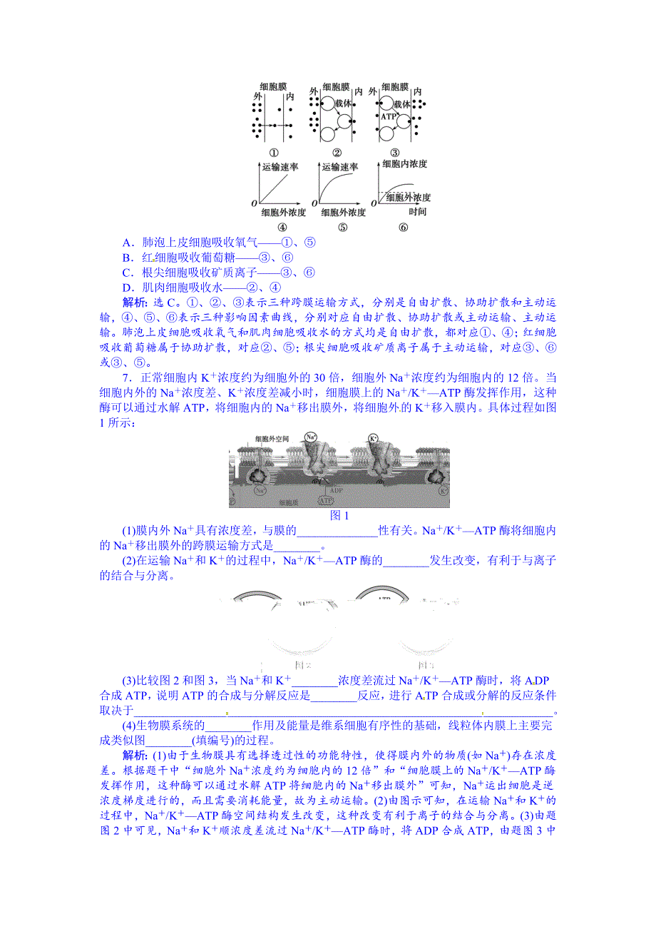 《优化方案》2016届高三生物一轮复习配套文档：第二单元 细胞的结构和物质运输 第7讲 物质跨膜运输的实例,物质跨膜运输的方式 随堂反馈高效突破.doc_第3页