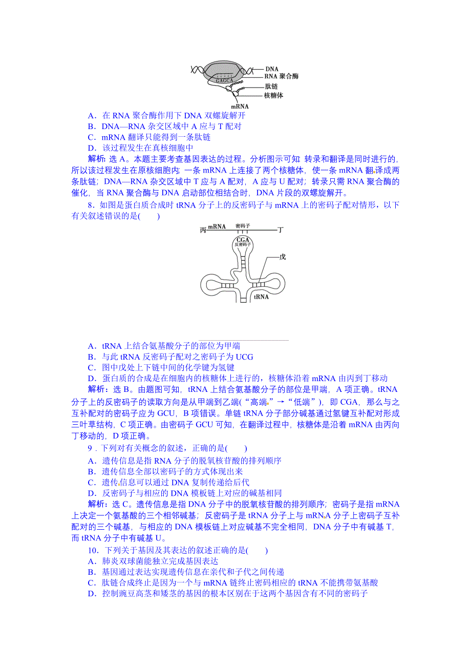 《优化方案》2016届高三生物一轮复习配套文档：单元过关检测 遗传的物质基础 (六).doc_第3页