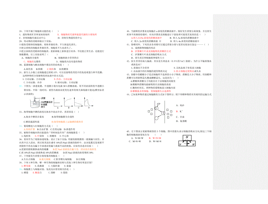 广东佛山狮城中学2010-2011学年第二学期期中考试试题.doc_第2页