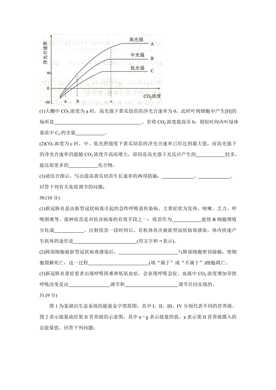 《发布》全国卷Ⅲ2021年衡水金卷先享题信息卷（三） 生物 WORD版含解析BYCHUN.doc_第3页