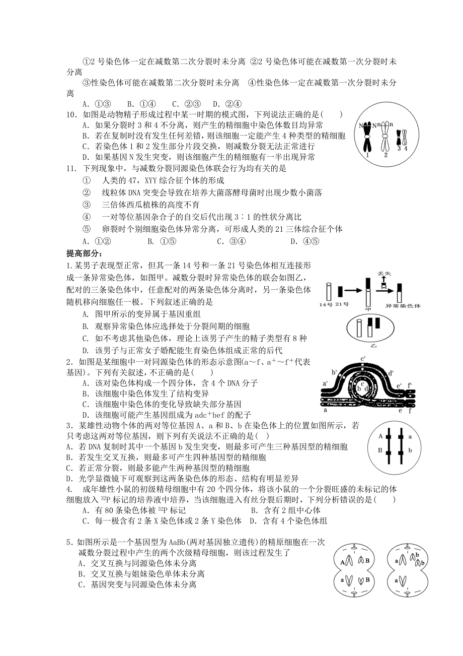 四川省成都市第七中学2017届高三二轮专题复习细胞分裂与可遗传变异联系.doc_第2页