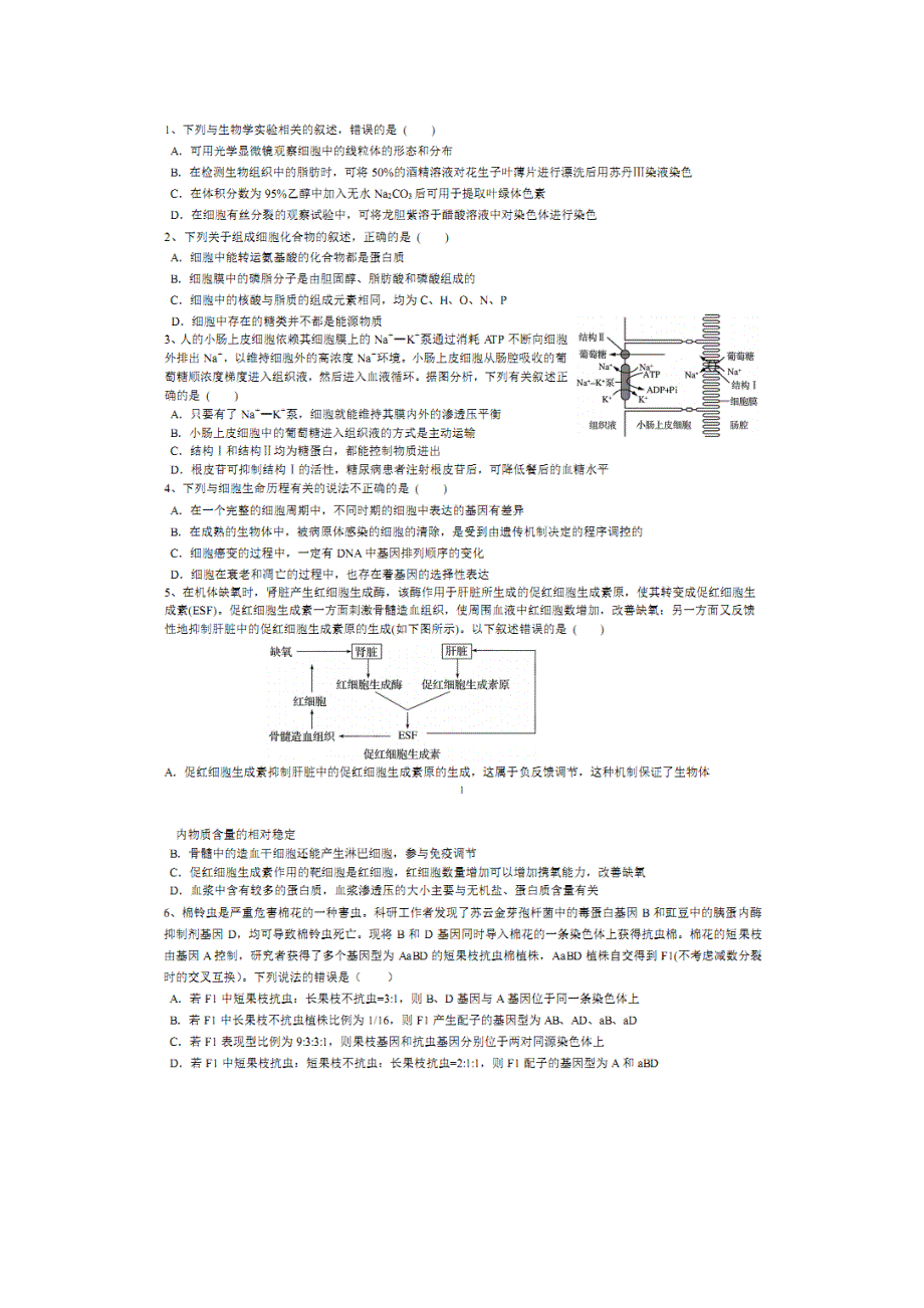 四川省成都市第七中学2017届高三二诊模拟考试理综-生物试题 扫描版含答案.doc_第1页