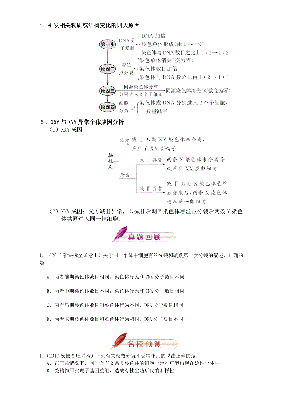 2018年高考生物人教版复习讲义（高考预测+应试技巧+真题回顾+专家押题）第九章 遗传的细胞基础 全国通用 WORD版含解析.doc_第2页