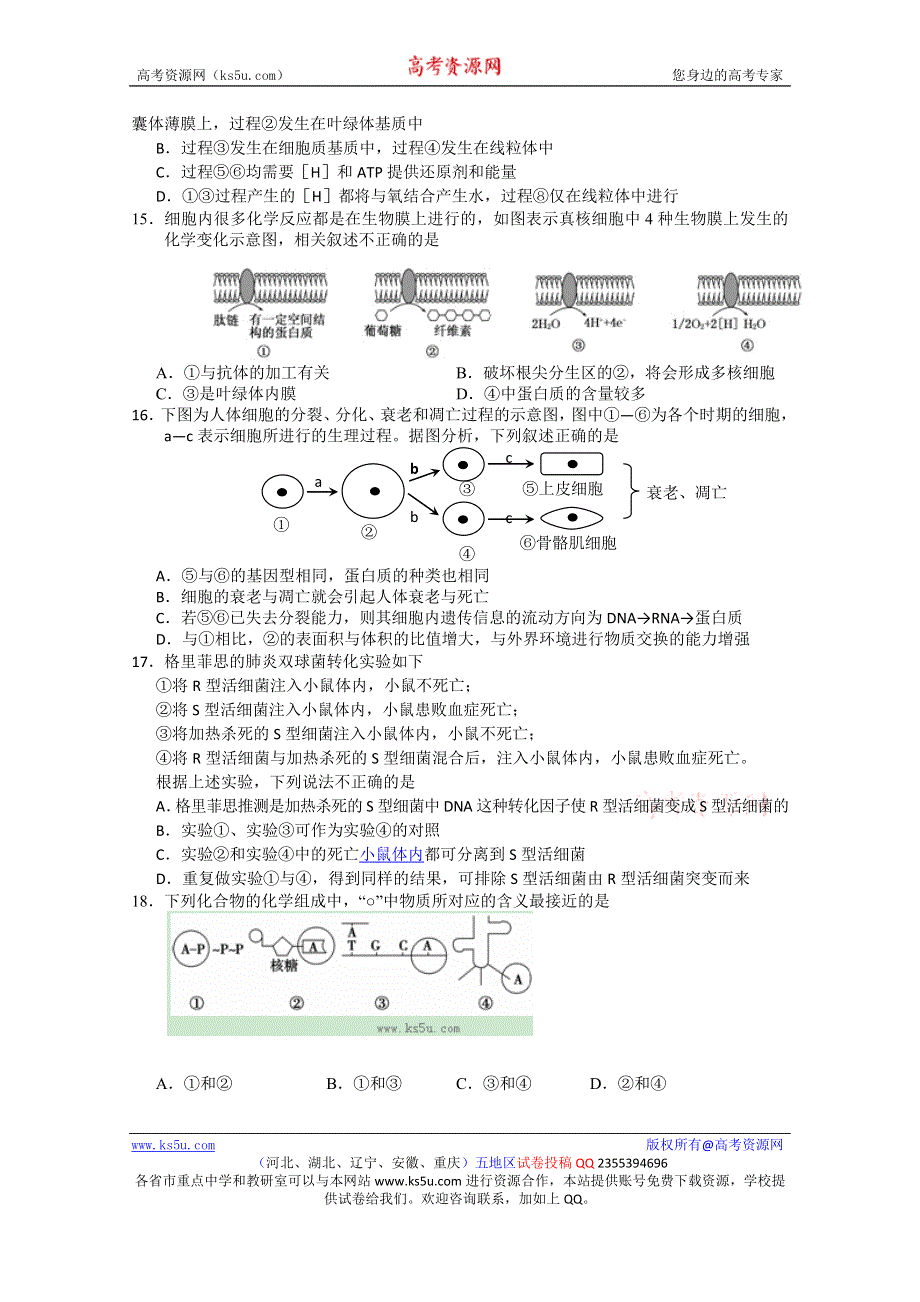 《发布》安徽省“江淮十校”协作体2014届高三上学期第一次联考 生物试题 WORD版含答案.doc_第3页