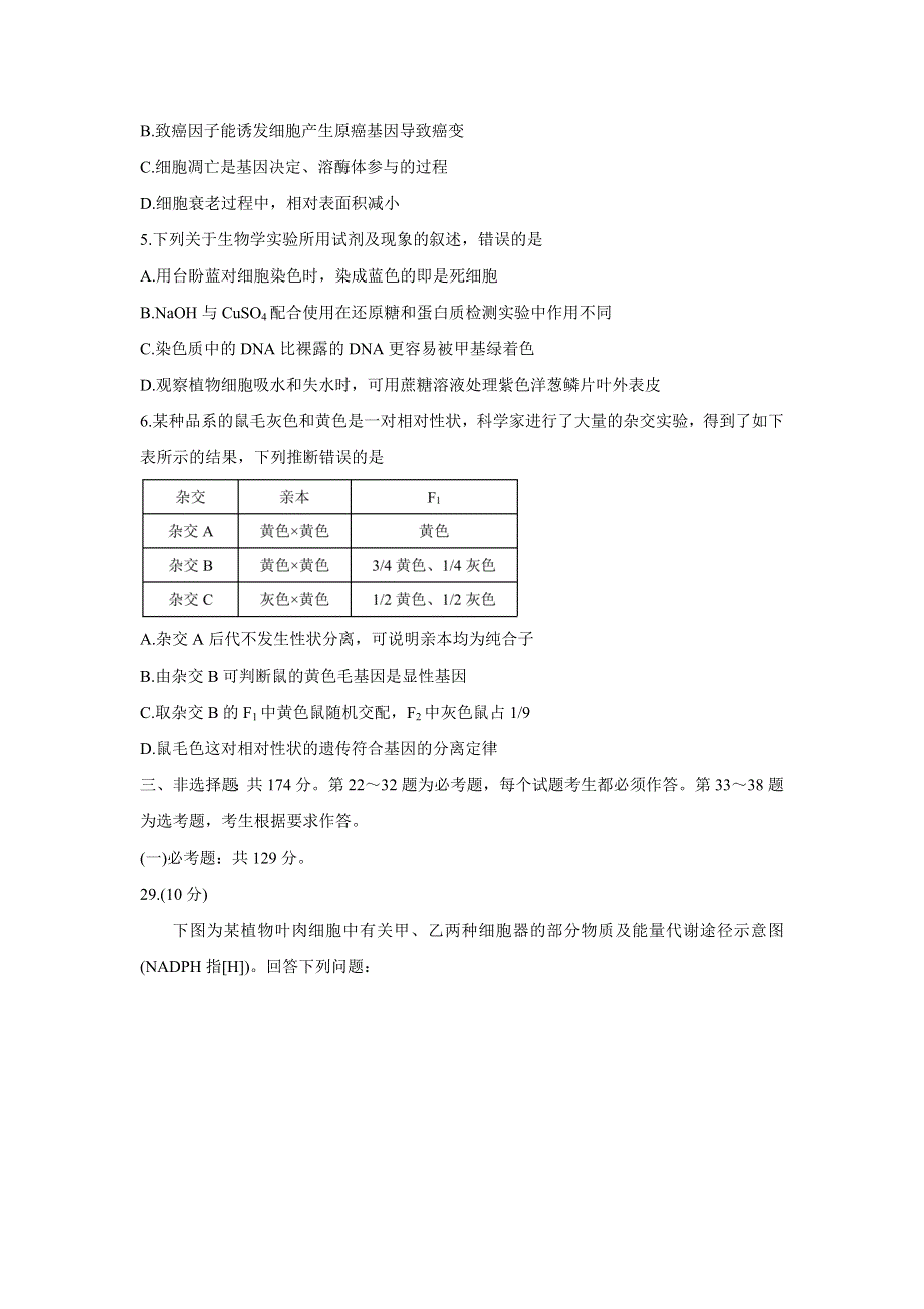 四川省成都市蓉城名校联盟2022届高三上学期入学联考 生物 WORD版含答案BYCHUN.doc_第2页