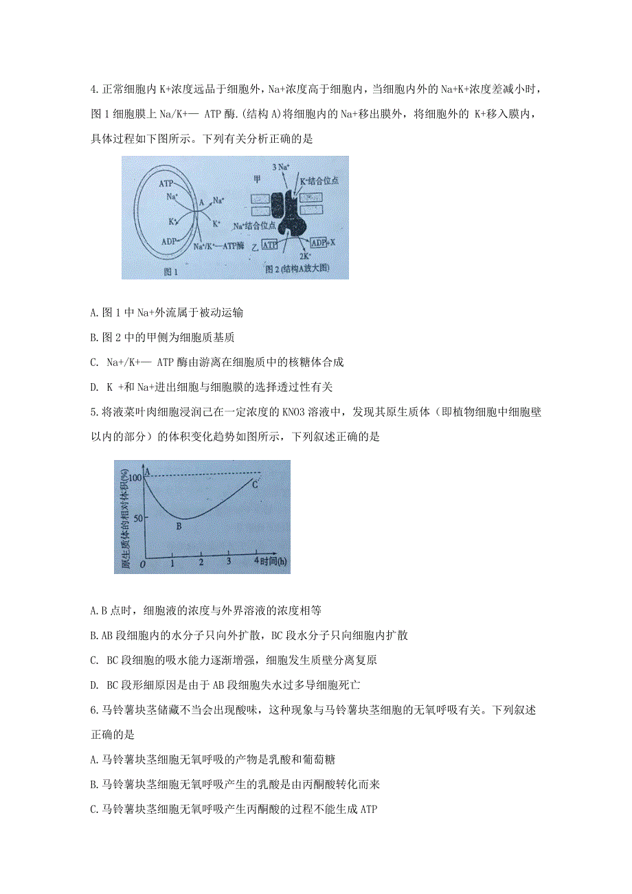 《发布》安徽省六安市第一中学2020届高三上学期第一次月考化学试题 WORD版含答案BYFENG.doc_第2页