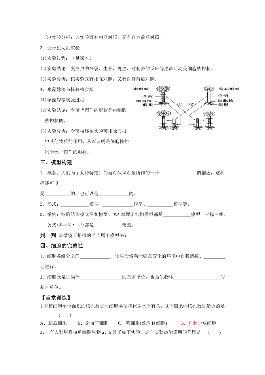 山东省乐陵市第一中学高三生物复习学案9细胞核 .doc_第2页