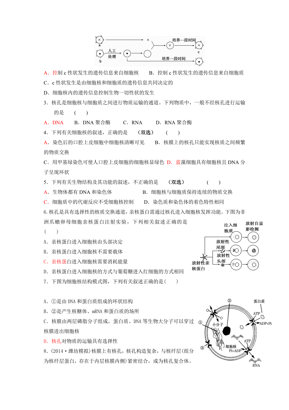 山东省乐陵市第一中学高三生物复习学案9细胞核 .doc_第3页