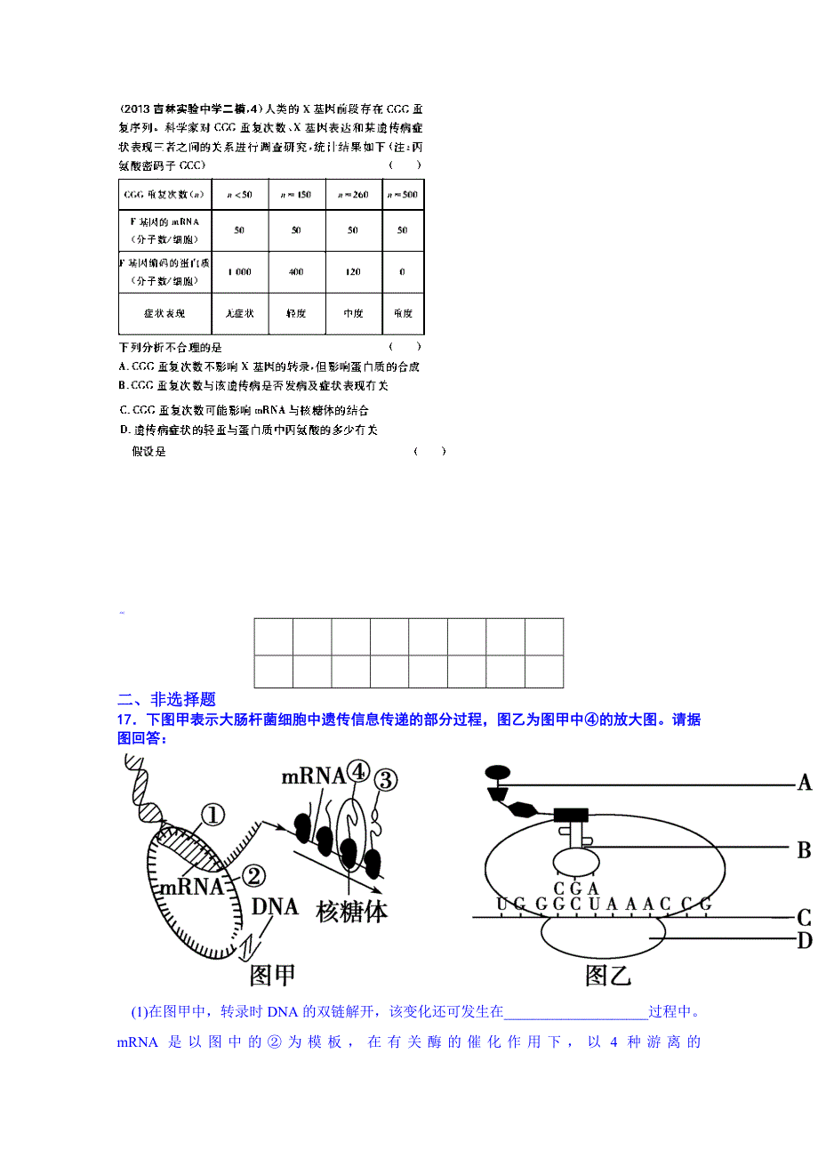 山东省乐陵市第一中学高三生物复习：必修二遗传的分子基础.doc_第3页