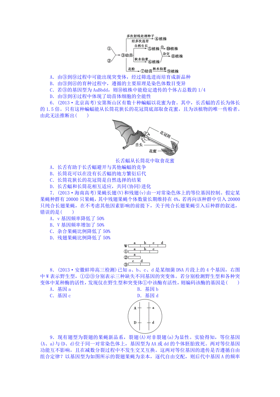 山东省乐陵市第一中学高三生物复习：变异进化.doc_第2页