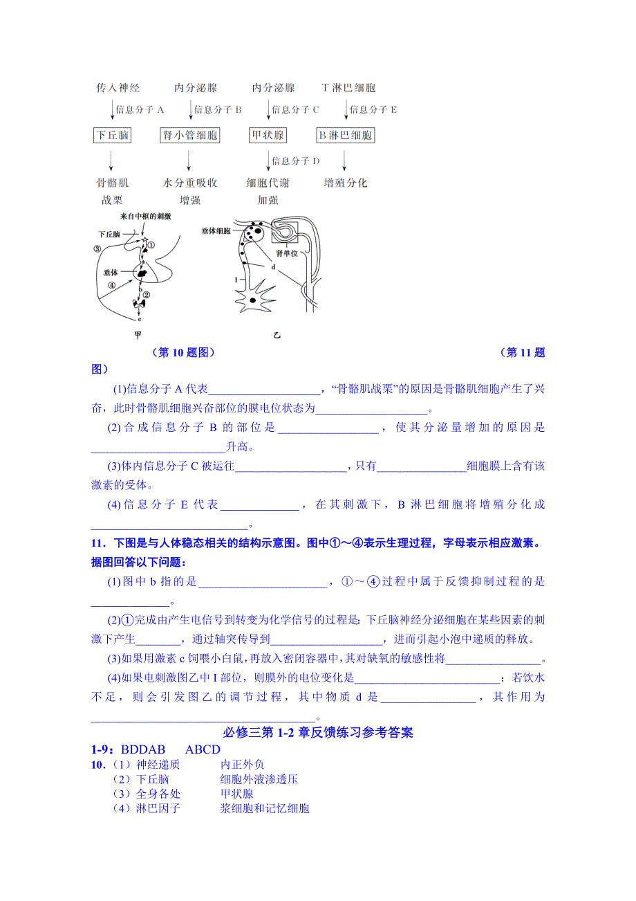 山东省乐陵市第一中学高三生物复习：必修3第1-2章（2）.doc_第3页