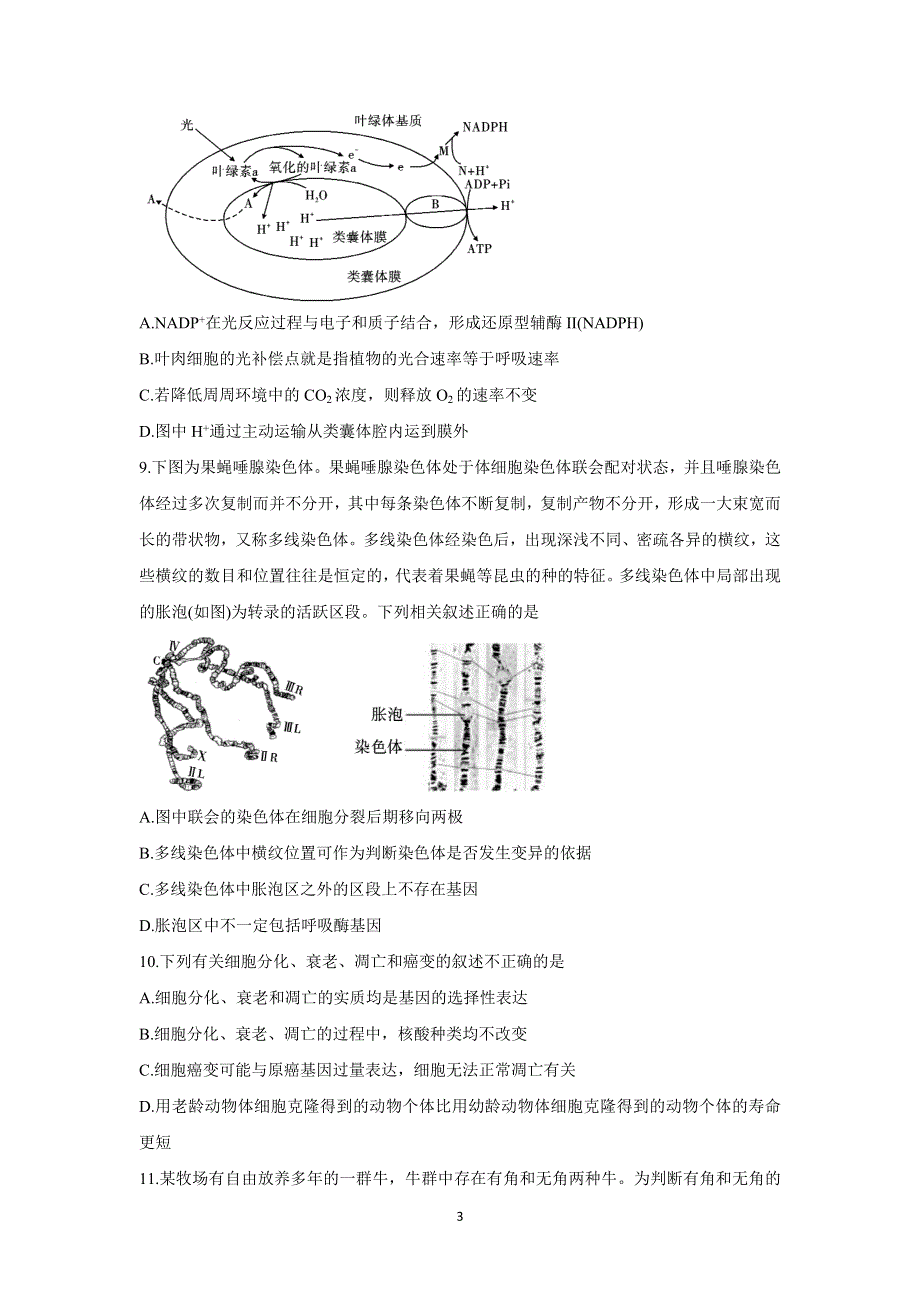 《发布》安徽省江淮十校2022届高三上学期第一次联考 生物 WORD版含答案BYCHUN.doc_第3页