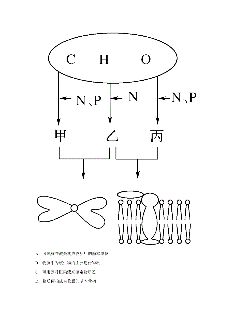 2018年高考生物四月（通用）优选练题（5）及解析.doc_第2页