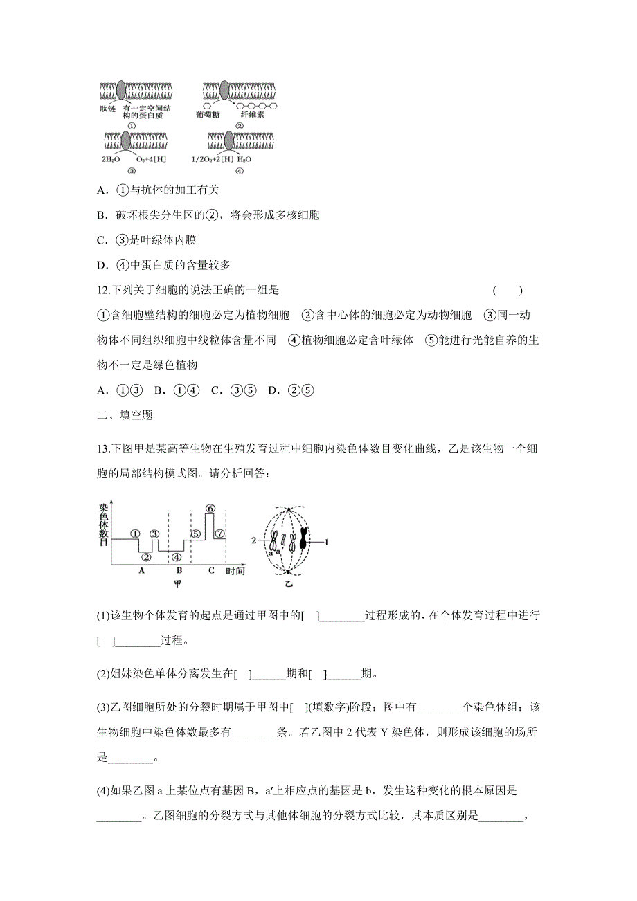 河南省漯河市四高2012届高三上学期生物期末复习题（五）.doc_第3页