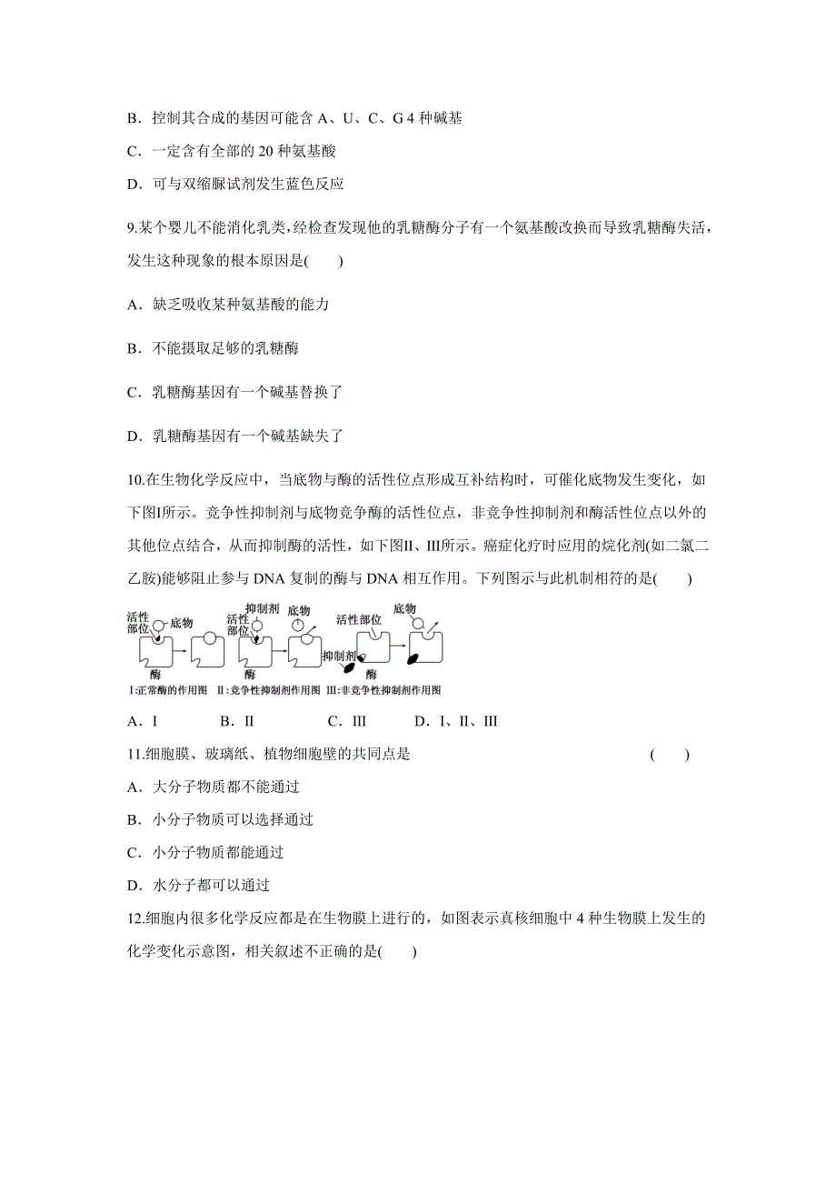 河南省漯河市四高2012届高三上学期生物期末复习题（十六）.doc_第3页