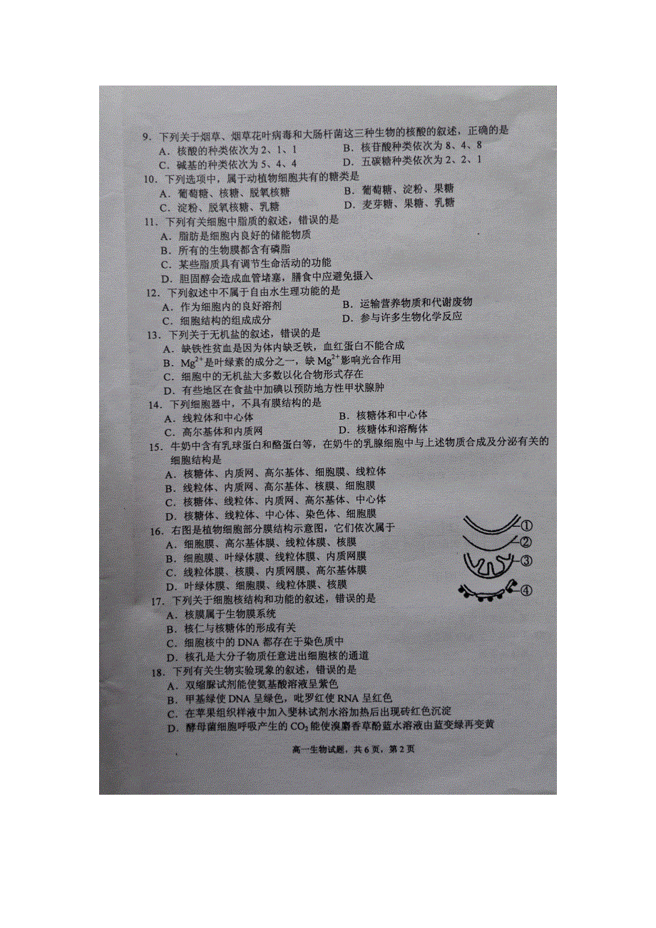 《发布》安徽马鞍山市2017-2018学年高一上学期期末教学质量检测试题 生物 扫描版含答案.doc_第2页
