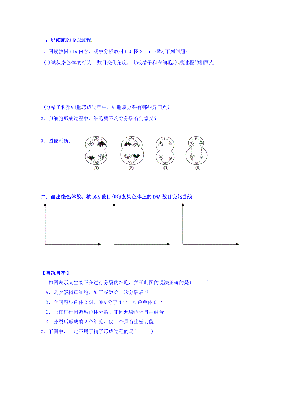 山东省乐陵市第一中学2016-2017学年高中生物人教版必修二学案：2.1 减数分裂和受精作用（第2课时） WORD版缺答案.doc_第2页