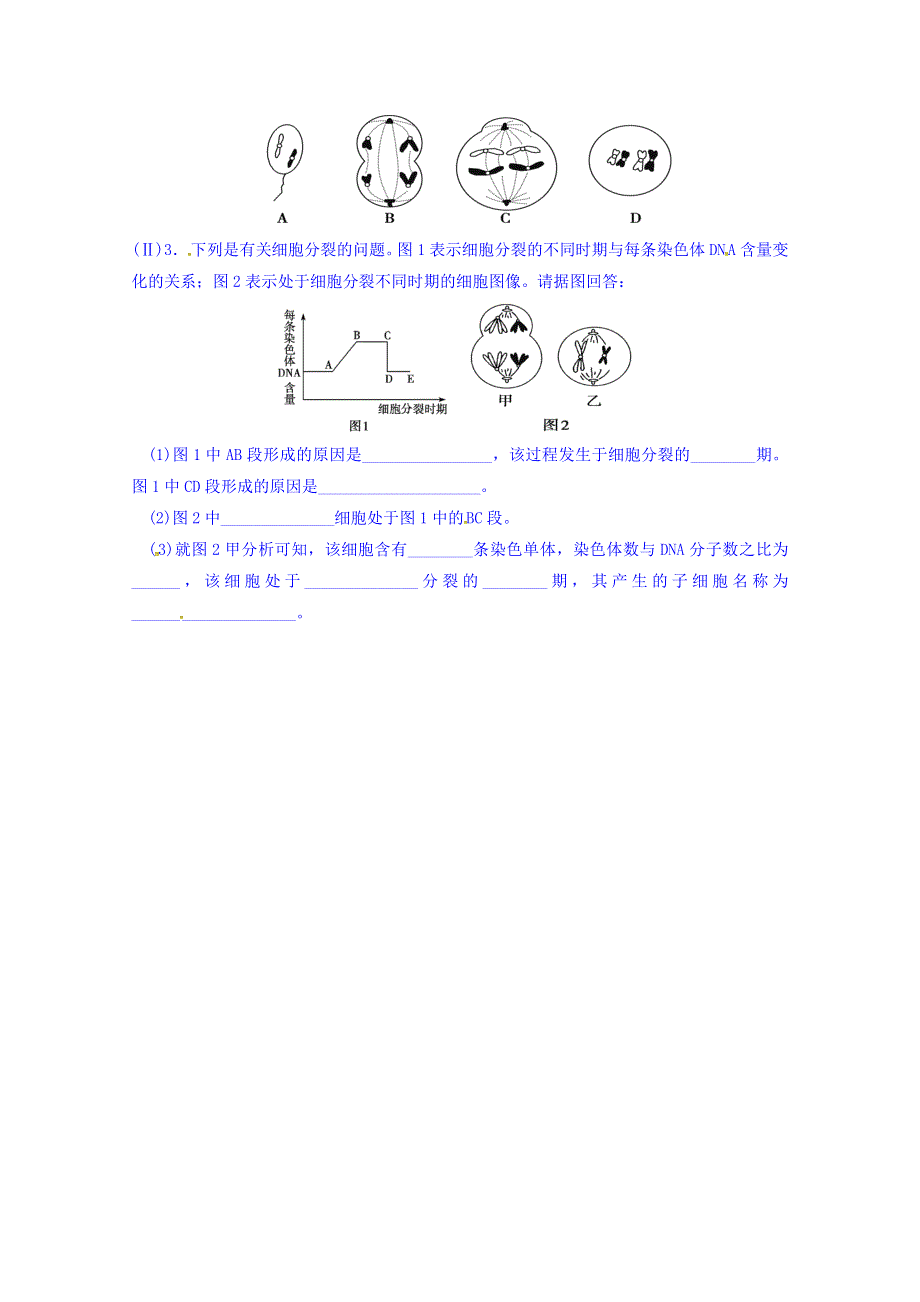 山东省乐陵市第一中学2016-2017学年高中生物人教版必修二学案：2.1 减数分裂和受精作用（第2课时） WORD版缺答案.doc_第3页