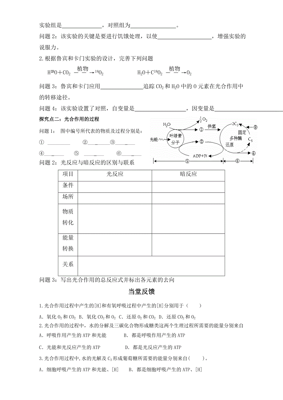 山东省乐陵市第一中学人教版高中生物必修一学案：5.4能量之源——光与光合作用（二） WORD版无答案.doc_第3页