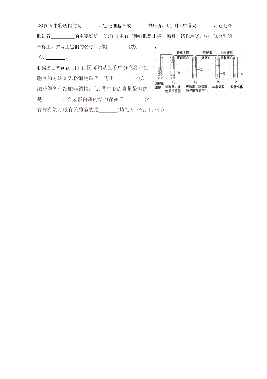 山东省乐陵市第一中学人教版高中生物必修一学案：3.doc_第3页