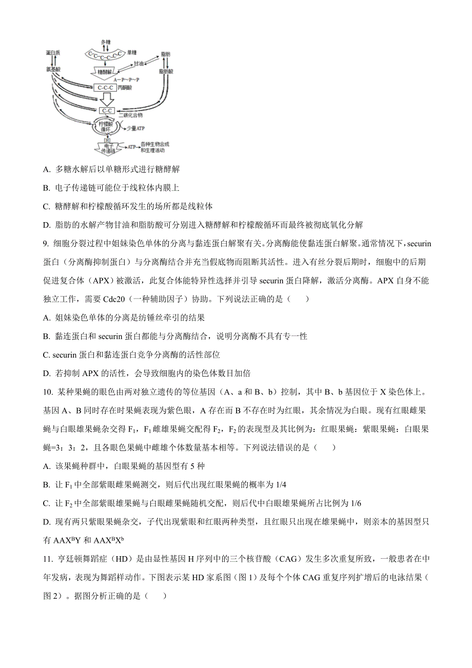 山东省任兴高中联盟2021届高三上学期11月联考生物试题 WORD版含答案.doc_第3页