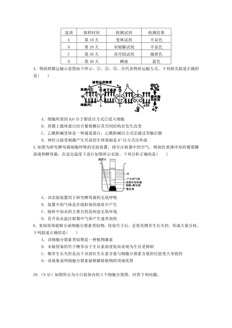 四川省成都市龙泉驿区第一中学校2019届高三12月月考生物试题 WORD版含答案.doc_第2页