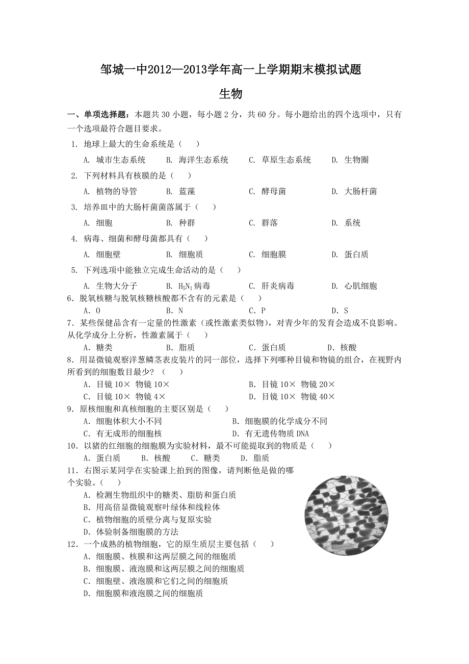 《发布》山东省济宁市邹城一中2012-2013学年高一上学期期末模拟 生物 WORD版含答案.doc_第1页