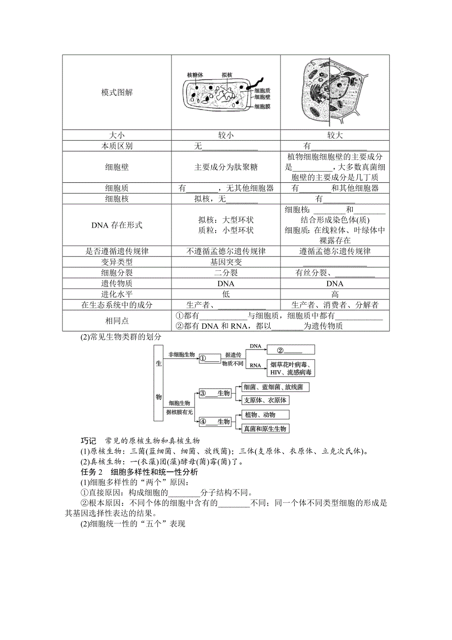 《新教材》2022届新高考生物一轮复习学案：1-1-1 借助显微镜　走近细胞 WORD版含解析.docx_第3页